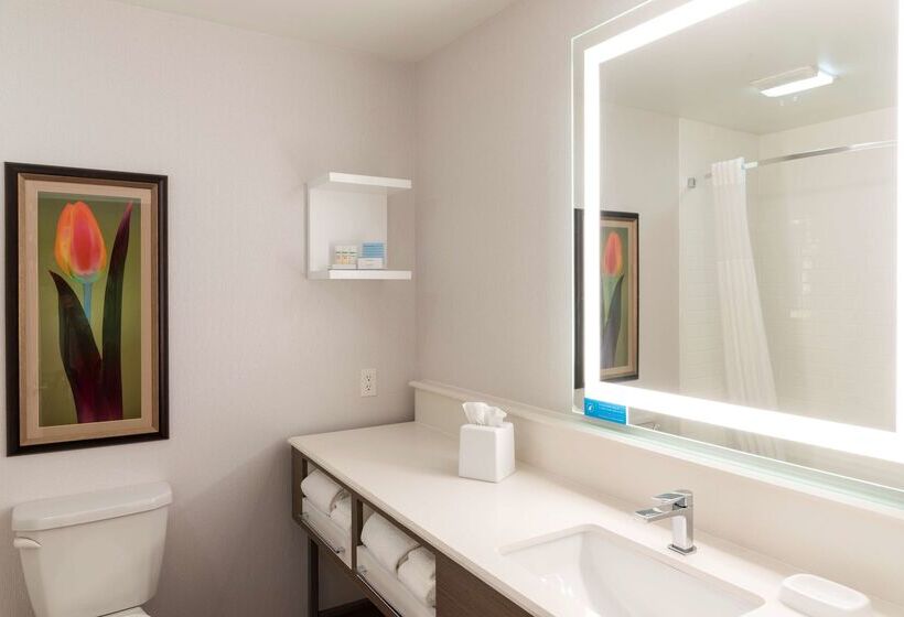 ホテル Hampton Inn Holland