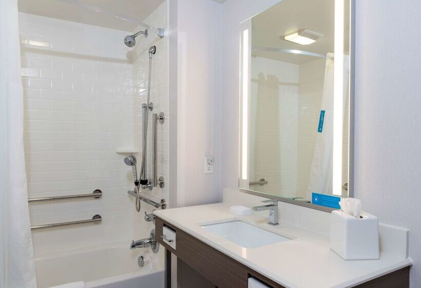 ホテル Hampton Inn Holland