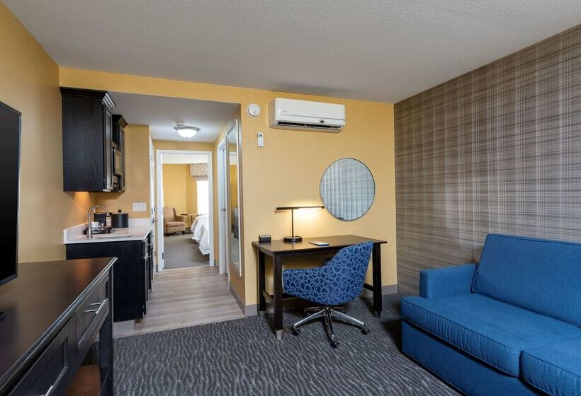 ホテル Hampton Inn Holland