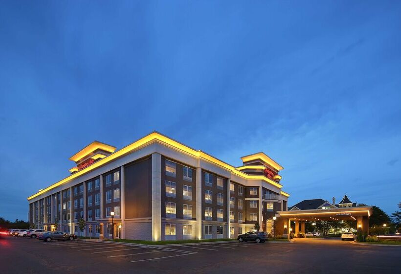 ホテル Hampton Inn Holland