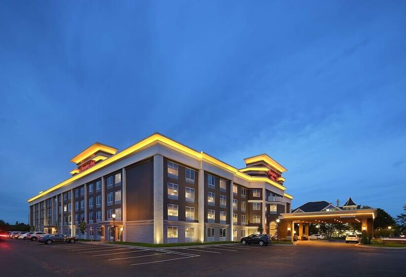 ホテル Hampton Inn Holland