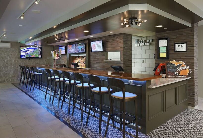 ホテル Hampton Inn Holland