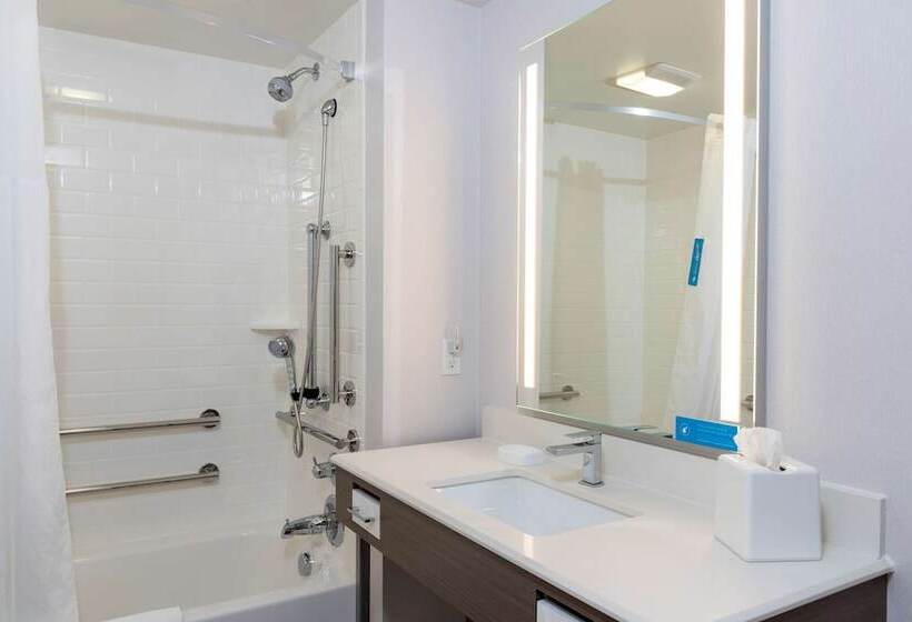 ホテル Hampton Inn Holland