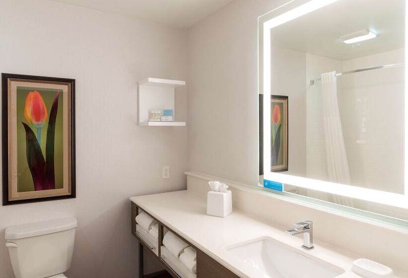 ホテル Hampton Inn Holland