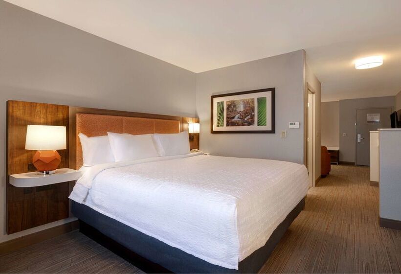 فندق Hampton Inn Hot Springs