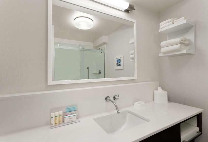 فندق Hampton Inn Houstonhobby Airport