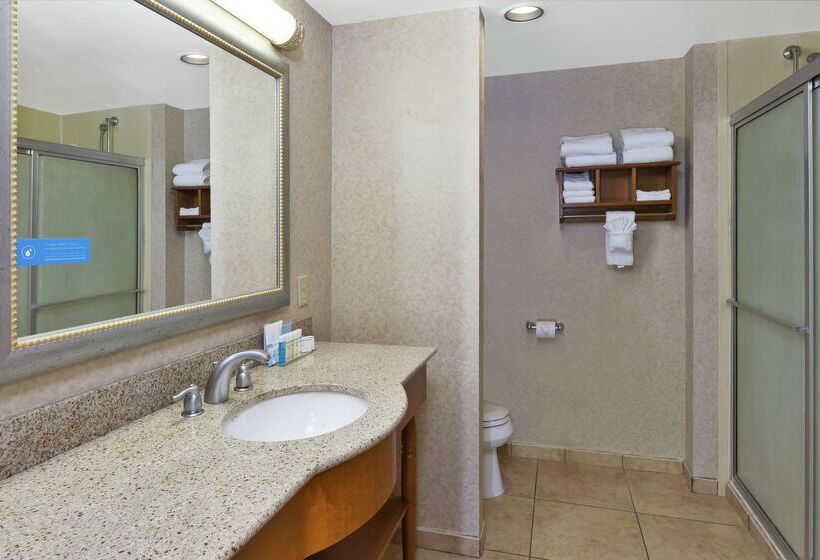فندق Hampton Inn Idaho Falls At The Mall