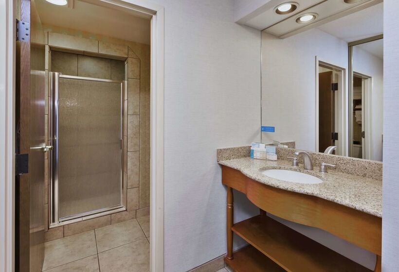 فندق Hampton Inn Idaho Falls At The Mall