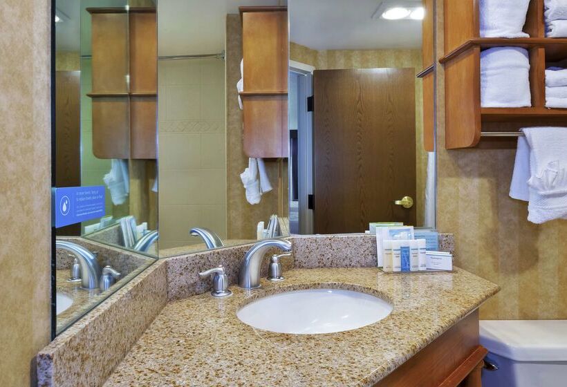 فندق Hampton Inn Idaho Falls At The Mall