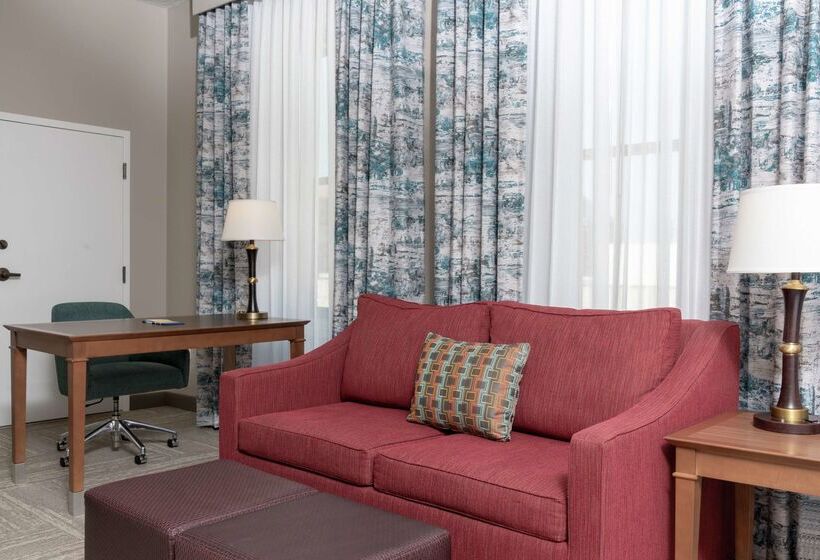 酒店 Hampton Inn Indianapolis Downtown Across From Circle Centre