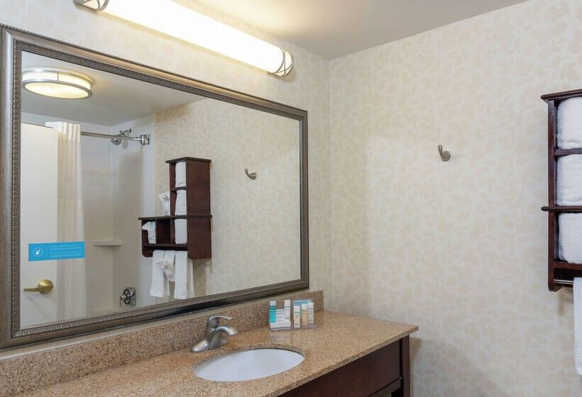 酒店 Hampton Inn Indianapolis Downtown Across From Circle Centre