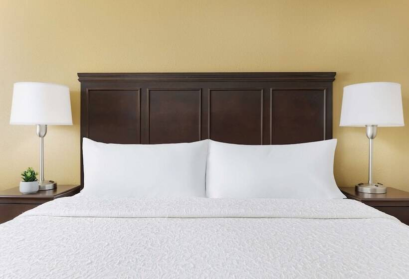 فندق Hampton Inn Jackson