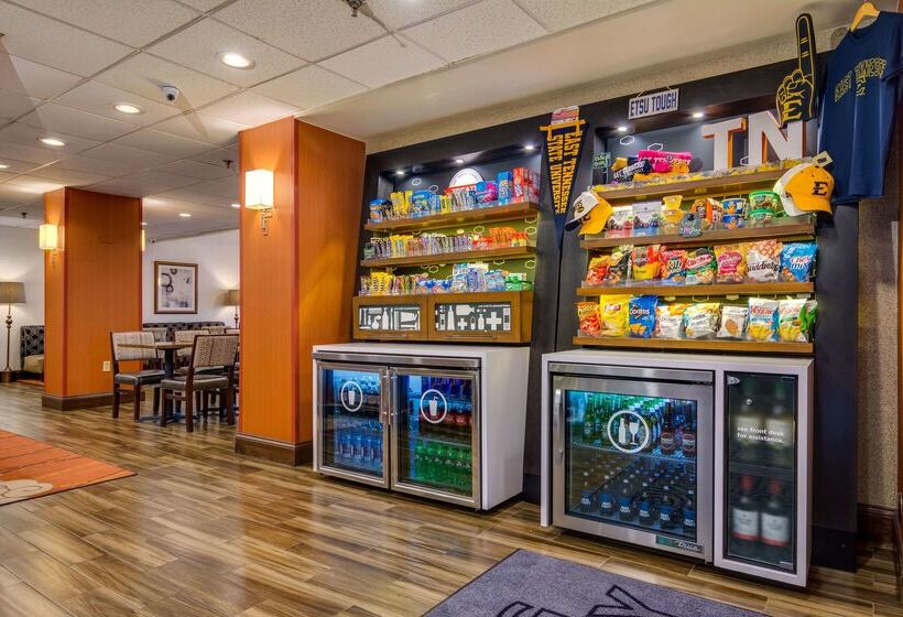 فندق Hampton Inn Johnson City