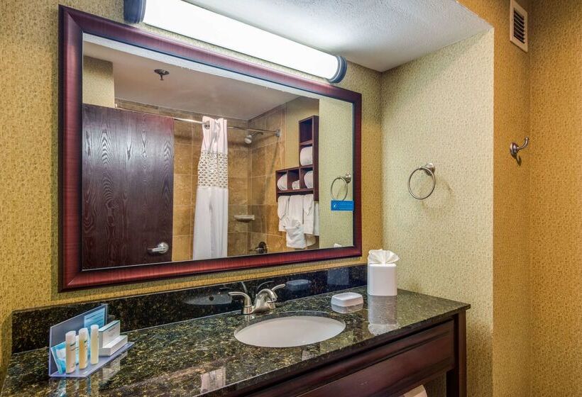 בית מלון כפרי Hampton Inn Johnson City