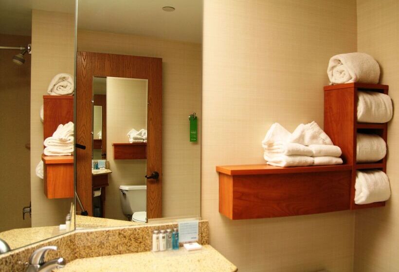 酒店 Hampton Inn Joliet  I80