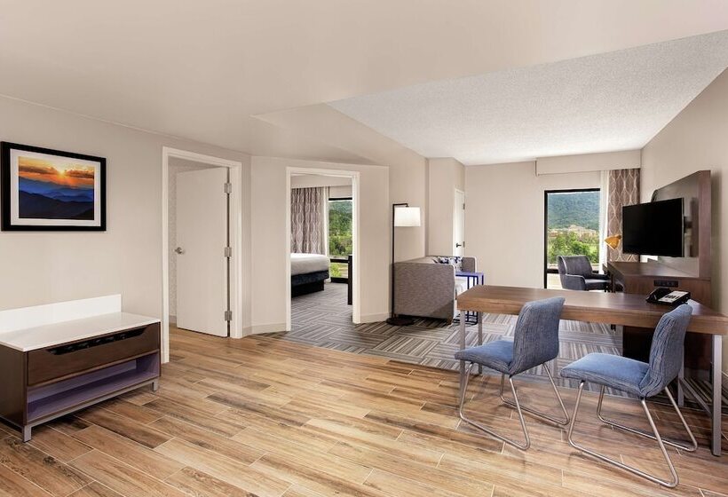 호텔 Hampton Inn Kingsport