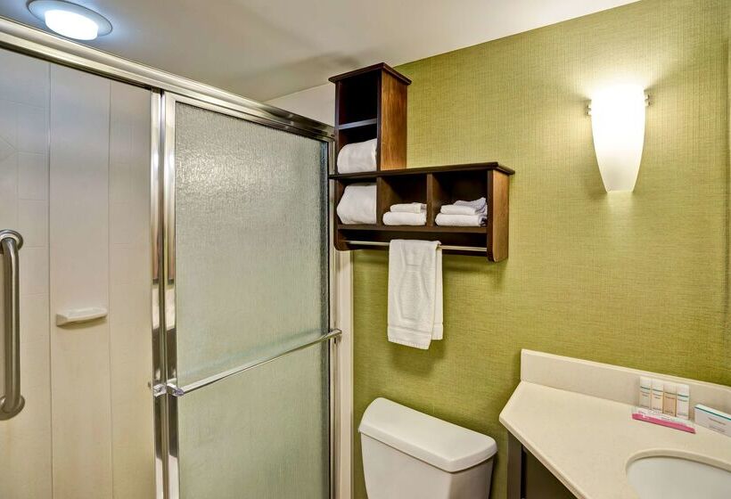 בית מלון כפרי Hampton Inn Knoxvilleairport