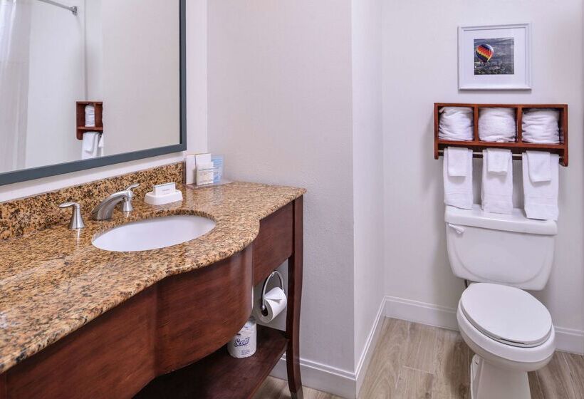 酒店 Hampton Inn Lexingtonhistoric District