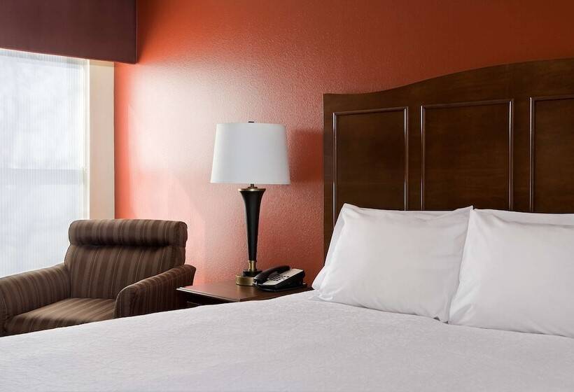 فندق Hampton Inn Lubbock