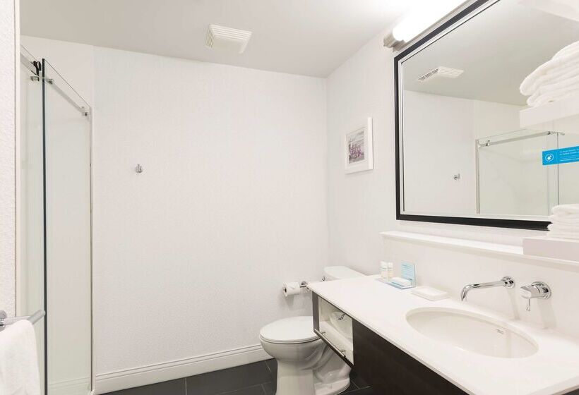 酒店 Hampton Inn Midland