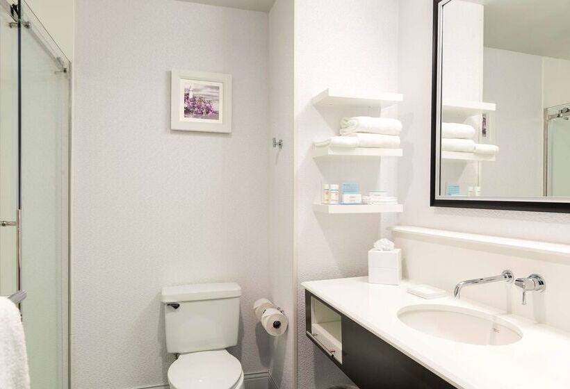 酒店 Hampton Inn Midland