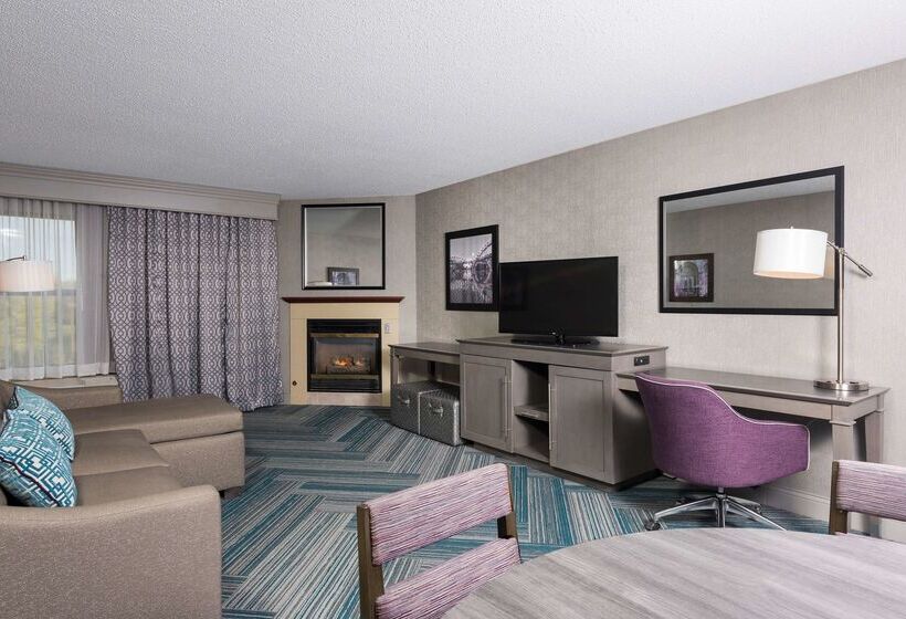 호텔 Hampton Inn Midland