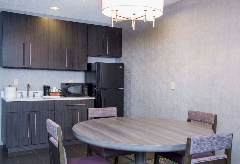 酒店 Hampton Inn Midland