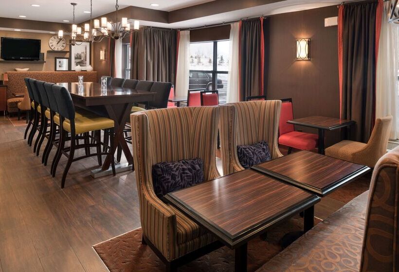 酒店 Hampton Inn Minneapolis/st. Paulwoodbury