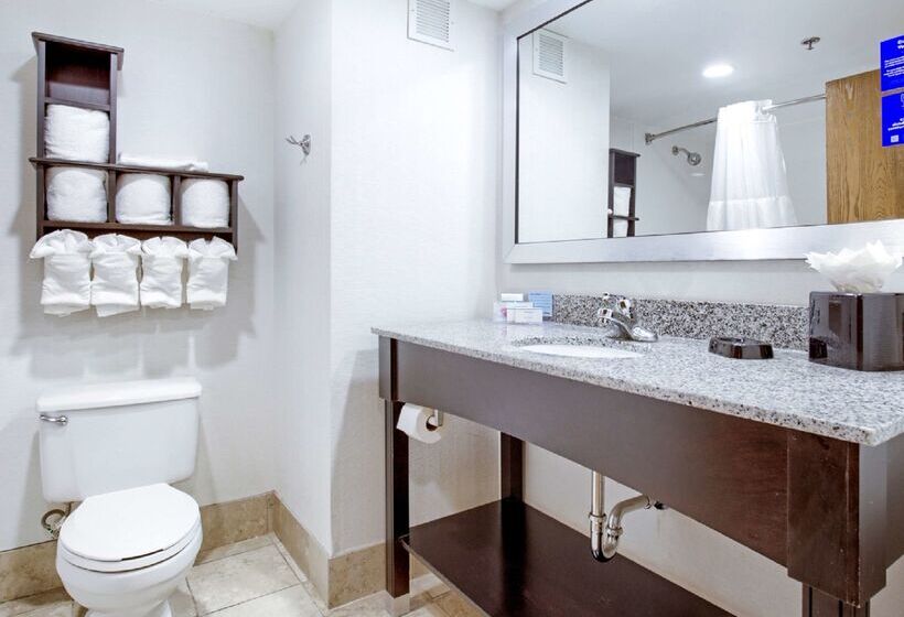 酒店 Hampton Inn Mobilei10/bellingrath Gardens