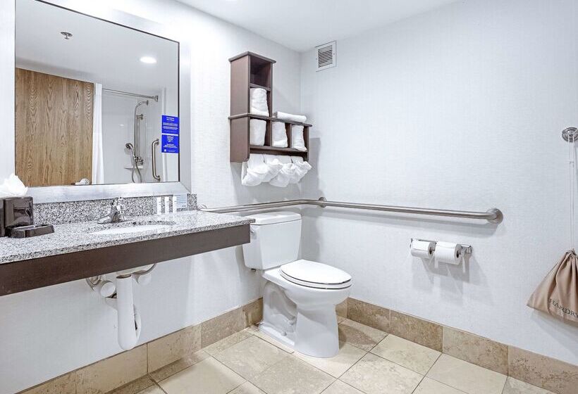 هتل Hampton Inn Mobilei10/bellingrath Gardens