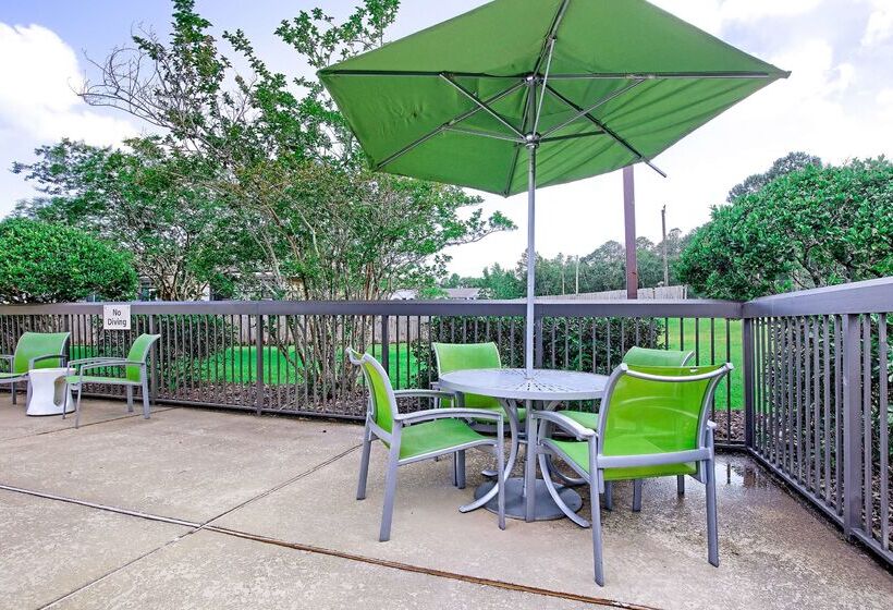 酒店 Hampton Inn Mobilei10/bellingrath Gardens