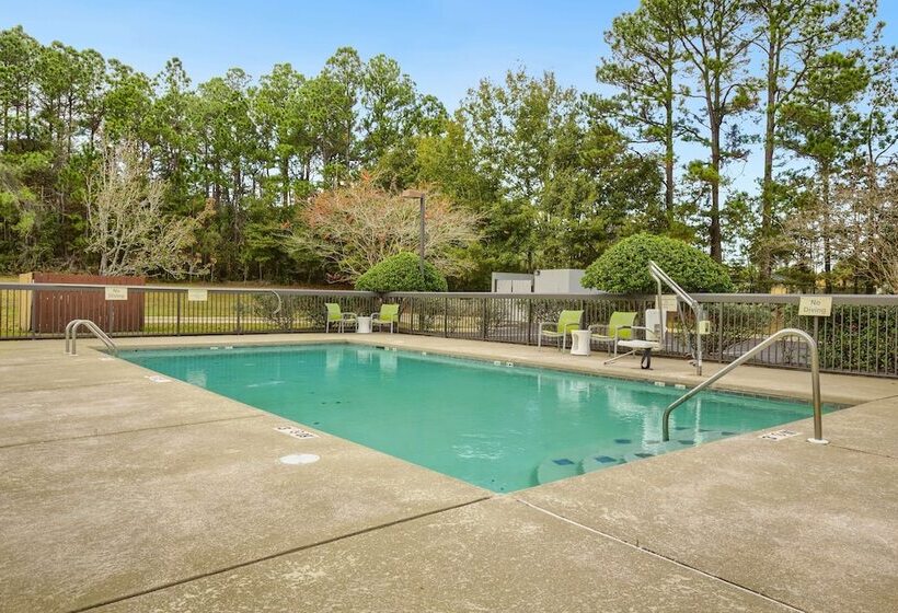 酒店 Hampton Inn Mobilei10/bellingrath Gardens