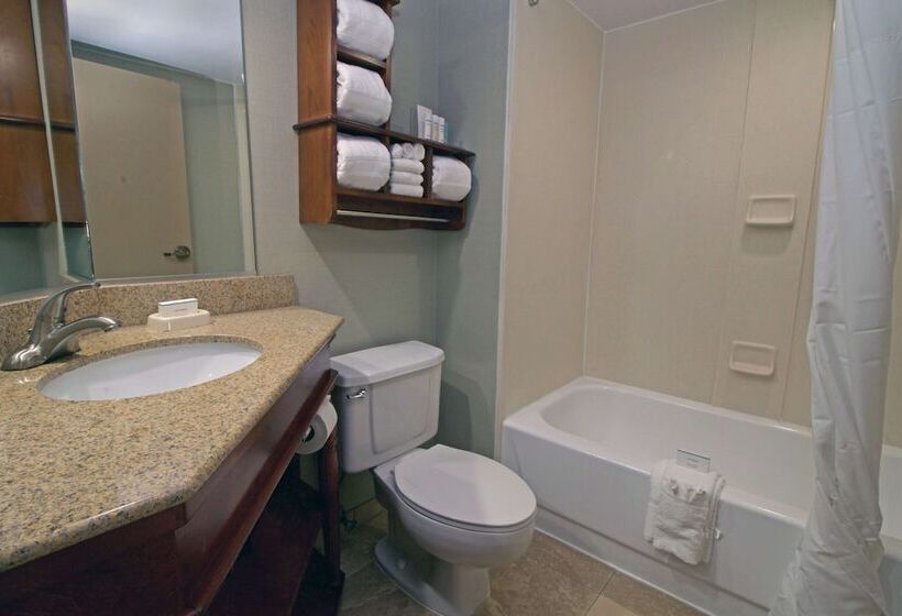 Отель Hampton Inn Norfolk/chesapeake