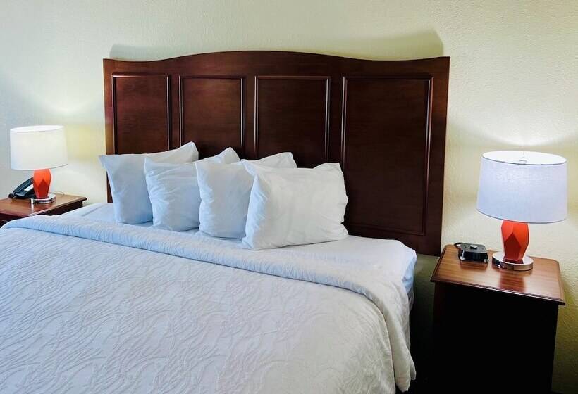 酒店 Hampton Inn Norfolk/chesapeake