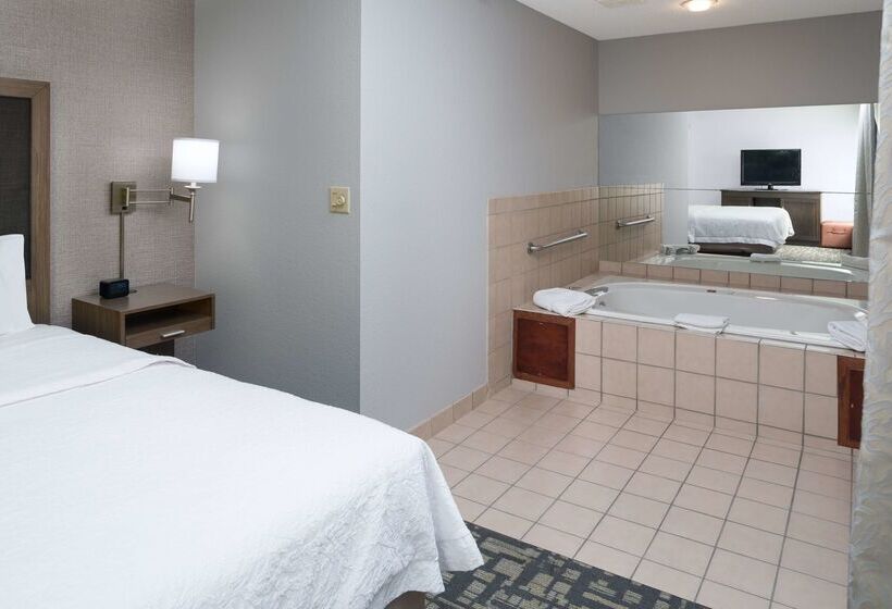 Отель Hampton Inn North Sioux City