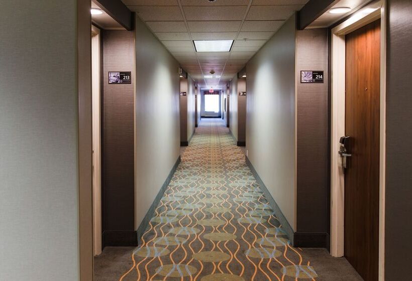 فندق Hampton Inn Oklahoma City/edmond