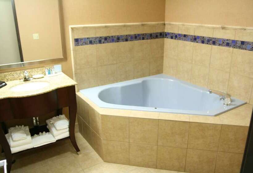 فندق Hampton Inn Olathe