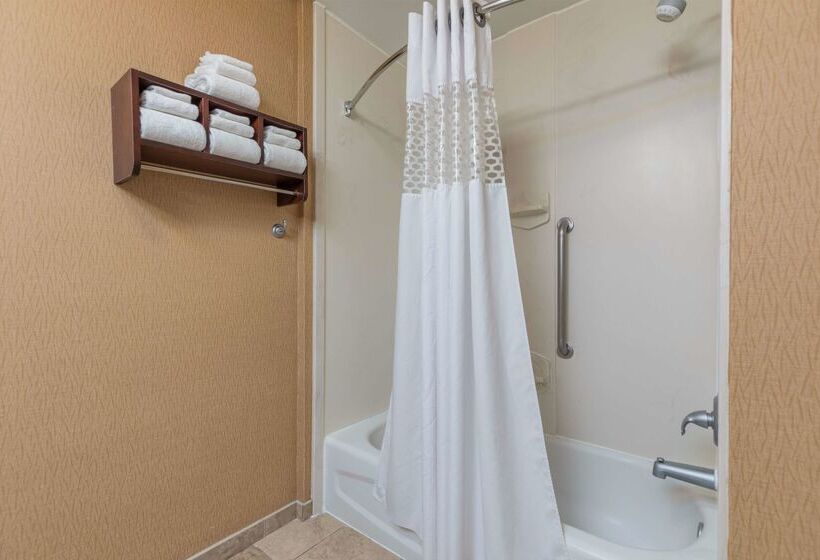 בית מלון כפרי Hampton Inn Owensboro South