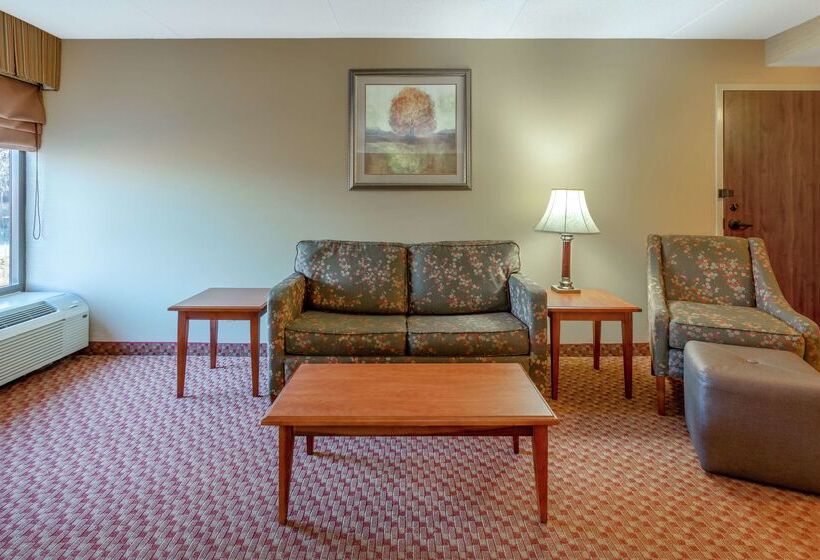 فندق Hampton Inn Peoriaeast At The River Boat Crossing