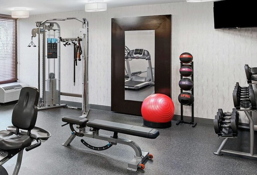 בית מלון כפרי Hampton Inn Philadelphia King Of Prussia