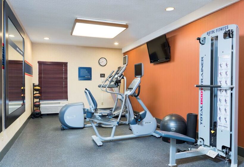 בית מלון כפרי Hampton Inn Port Huron