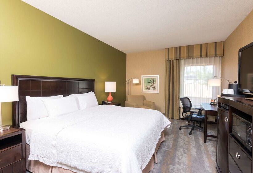 בית מלון כפרי Hampton Inn Port Huron