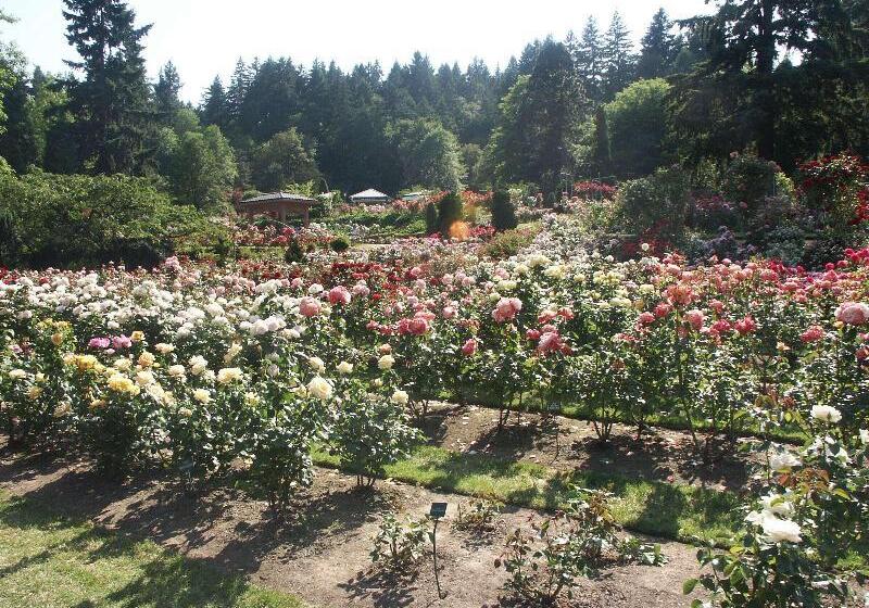 ホテル Hampton Inn Portland East