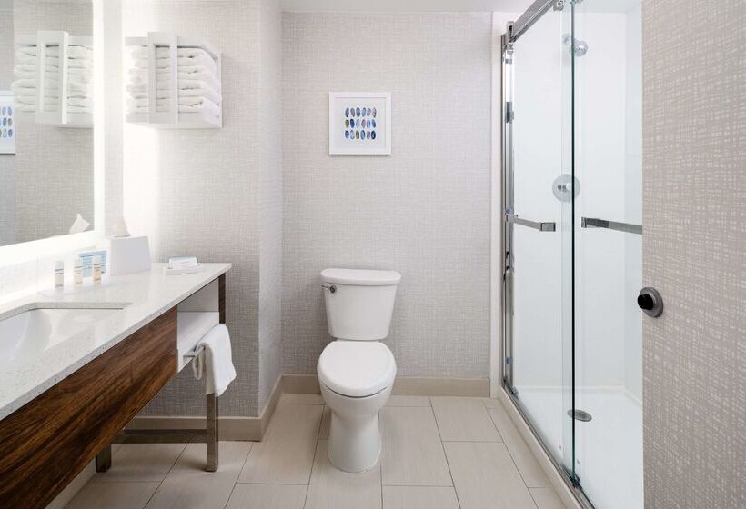 酒店 Hampton Inn Richmondsouthwesthull Street