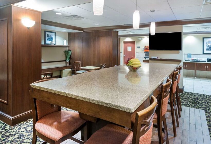 호텔 Hampton Inn Roanoke/hollins  I81