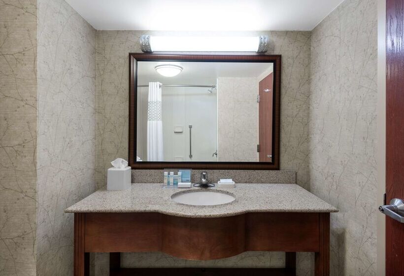 호텔 Hampton Inn Roanoke/hollins  I81