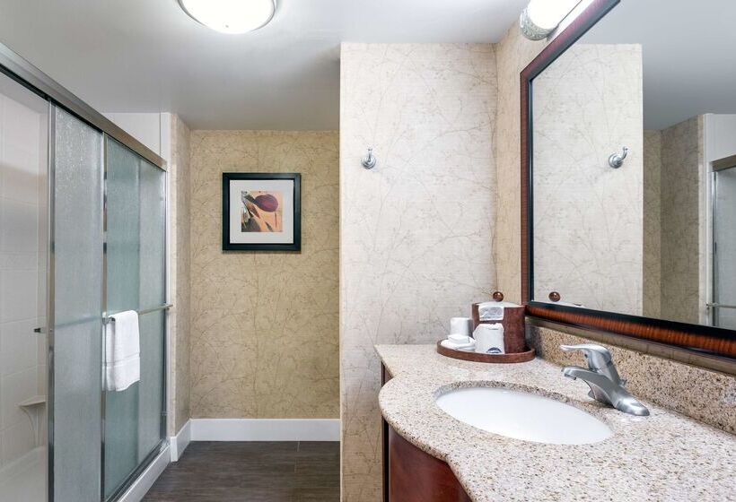 호텔 Hampton Inn Roanoke/hollins  I81