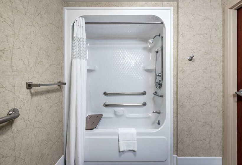 호텔 Hampton Inn Roanoke/hollins  I81