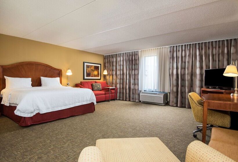 호텔 Hampton Inn Roanoke/hollins  I81