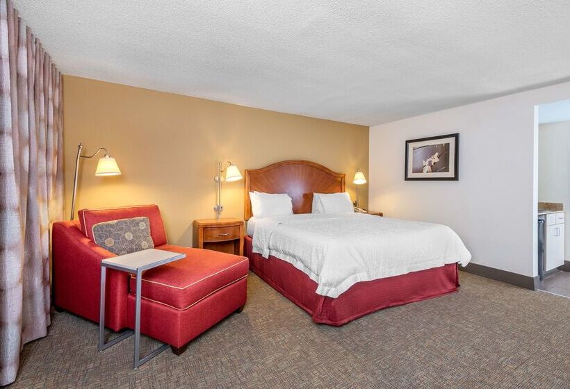 호텔 Hampton Inn Roanoke/hollins  I81